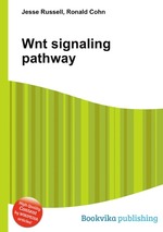 Wnt signaling pathway