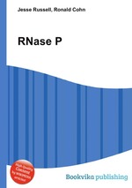 RNase P