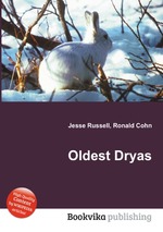 Oldest Dryas