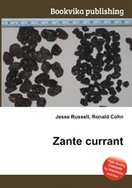 Zante currant