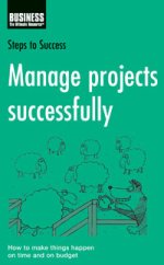 Steps to Success Manage Projects Successfully  Ned