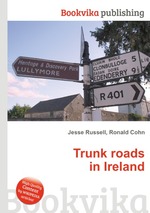 Trunk roads in Ireland