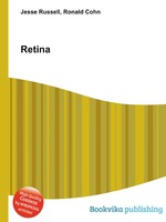 Retina