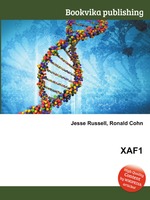 XAF1