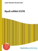 RpoS mRNA 5`UTR