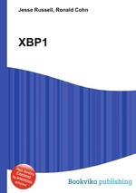 XBP1