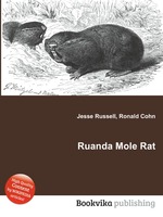 Ruanda Mole Rat