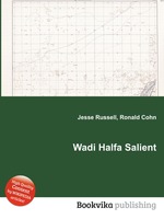 Wadi Halfa Salient