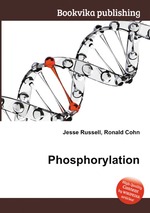 Phosphorylation