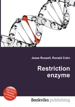 Restriction enzyme