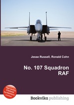 No. 107 Squadron RAF