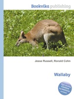 Wallaby