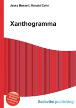 Xanthogramma