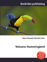 Volcano Hummingbird