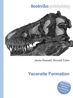 Yacoraite Formation