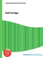 Salt bridge