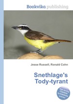 Snethlage`s Tody-tyrant