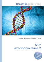 5`-3` exoribonuclease 2