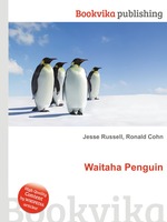 Waitaha Penguin