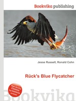 Rck`s Blue Flycatcher