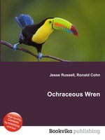 Ochraceous Wren