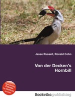 Von der Decken`s Hornbill