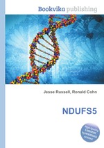 NDUFS5