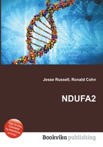 NDUFA2