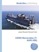 USNS Benavidez (T-AKR-306)