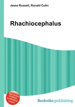 Rhachiocephalus