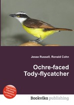 Ochre-faced Tody-flycatcher