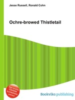 Ochre-browed Thistletail