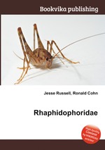 Rhaphidophoridae