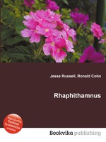 Rhaphithamnus