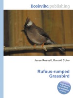 Rufous-rumped Grassbird