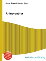 Rhinacanthus