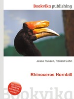 Rhinoceros Hornbill