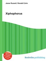 Xiphophorus