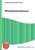 Rhizophascolomus