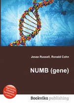 NUMB (gene)