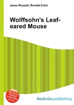 Wolffsohn`s Leaf-eared Mouse