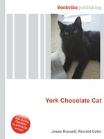 York Chocolate Cat