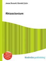 Rhizoclonium