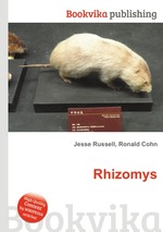 Rhizomys