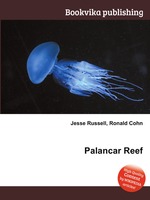 Palancar Reef