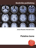 Palatine bone