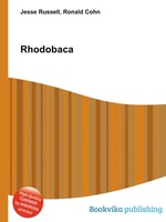 Rhodobaca