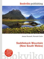 Saddleback Mountain (New South Wales)