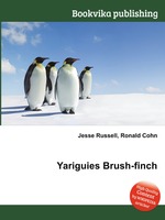 Yariguies Brush-finch