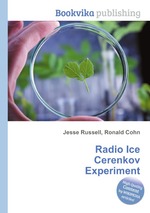 Radio Ice Cerenkov Experiment